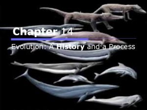 Chapter 14 evolution a history and a process