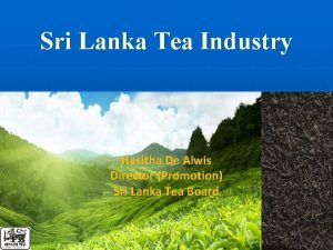 Sri lanka tea board elevation average Sri lanka tea board elevation average