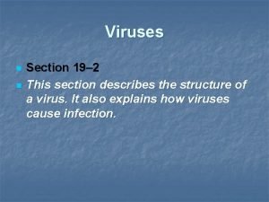 Virus in a sentence