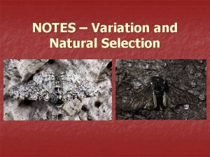 Different types of natural selection