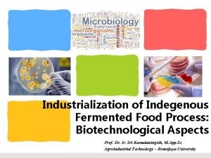 Industrialization of Indegenous Fermented Food Process Biotechnological Aspects