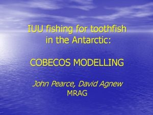 IUU fishing for toothfish in the Antarctic COBECOS