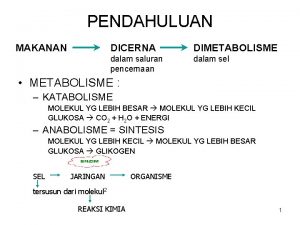 PENDAHULUAN MAKANAN DICERNA DIMETABOLISME dalam saluran pencernaan dalam