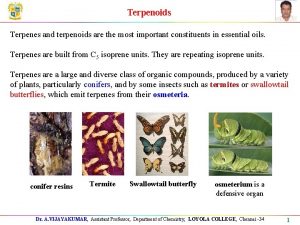 Classification of terpenoids