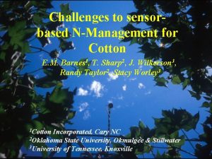 Challenges to sensorbased NManagement for Cotton E M