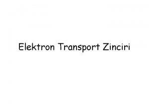 Elektron Transport Zinciri Elektron Transport Zinciri ETZ Mitokondrinin