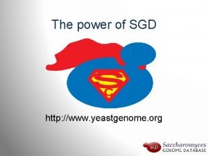 Yeastgenome.org