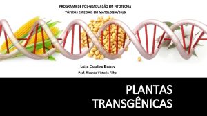 PROGRAMA DE PSGRADUAO EM FITOTECNIA TPICOS ESPECIAIS EM