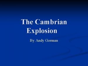 The Cambrian Explosion By Andy Gorman Cambrian n