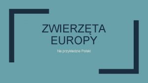 Orzeł południowy w polsce