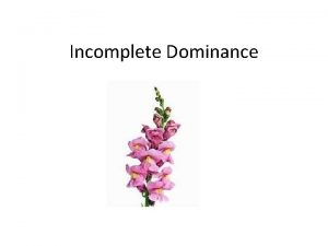 Incomplete Dominance What is incomplete dominance With incomplete