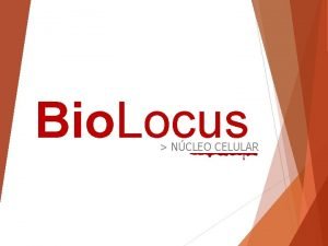 Bio Locus NCLEO CELULAR Componentes do ncleo Bio