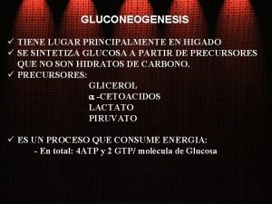 GLUCONEOGENESIS TIENE LUGAR PRINCIPALMENTE EN HIGADO SE SINTETIZA