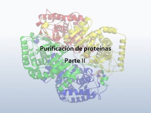 Ventajas y desventajas de las proteinas