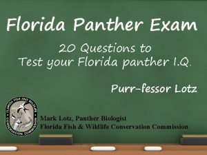 Florida Panther Exam 20 Questions to Test your