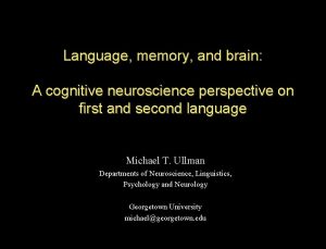 Language memory and brain A cognitive neuroscience perspective