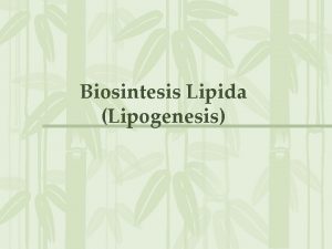 Apa itu lipogenesis