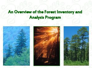Forest inventory and analysis