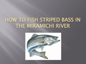 Plenty of fish miramichi
