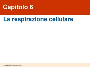 Capitolo 6 La respirazione cellulare Copyright 2006 Zanichelli