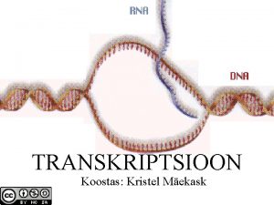TRANSKRIPTSIOON Koostas Kristel Mekask RNA ehitus Sarnaselt DNA