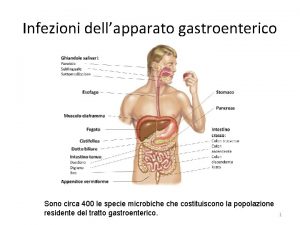 Infezioni dellapparato gastroenterico Sono circa 400 le specie