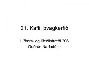 21 Kafli vagkerfi Lffra og lfelisfri 203 Gurn