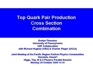 Top Quark Pair Production Cross Section Combination Evelyn