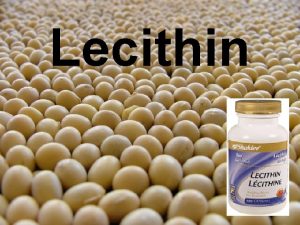 Lecithin means
