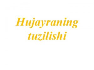 Hujayra tuzilishi