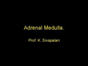 Adrenal Medulla Prof K Sivapalan Strtucture Location centre