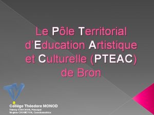 Le Ple Territorial dEducation Artistique et Culturelle PTEAC