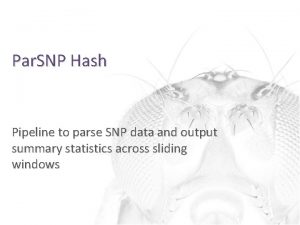 Par SNP Hash Pipeline to parse SNP data Par SNP Hash Pipeline to parse SNP data