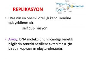 REPLKASYON DNA nn en nemli zellii kendini eleyebilmesidir