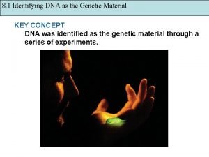 What are the chemical substances of dna