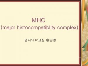 MHC major histocompatiblity complex HLA class I and