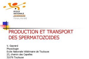 Retrocontrole Retrocontrole