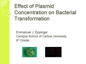 Transform plasmid
