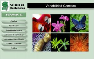 Colegio de Bachilleres BIOLOGIA II Propsito Introduccin Variabilidad