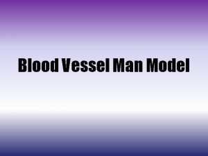 Blood Vessel Man Model Arteries Arteries Right Common