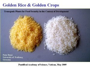 Golden crops foe Golden crops foe