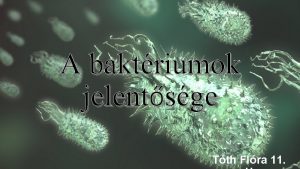 A baktriumok jelentsge Tth Flra 11 Tartalom Evolcis