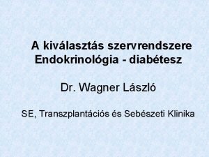1 es típusú diabetes