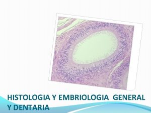 HISTOLOGIA Y EMBRIOLOGIA GENERAL Y DENTARIA HISTOLOGIA Y