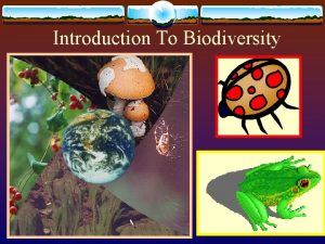 Introduction to biodiversity