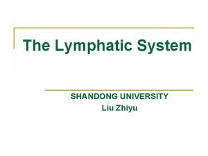 The Lymphatic System SHANDONG UNIVERSITY Liu Zhiyu Introduction