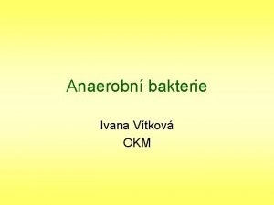 Anaerobn bakterie Ivana Vtkov OKM Co jsou to