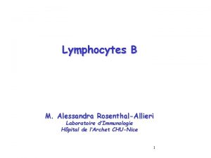 Lymphocytes B M Alessandra RosenthalAllieri Laboratoire dImmunologie Hpital