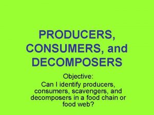 Consumers that feed on the bodies of dead organisms