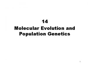 14 Molecular Evolution and Population Genetics 1 Population